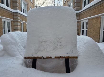 芝加哥  3周下雪16天