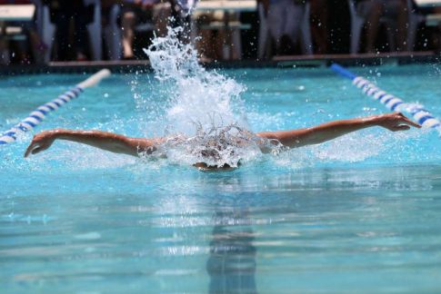 国际泳联宣布禁止变性运动员参加女子比赛