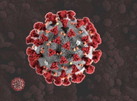 世卫组织：新冠病毒仍是国际紧急状况