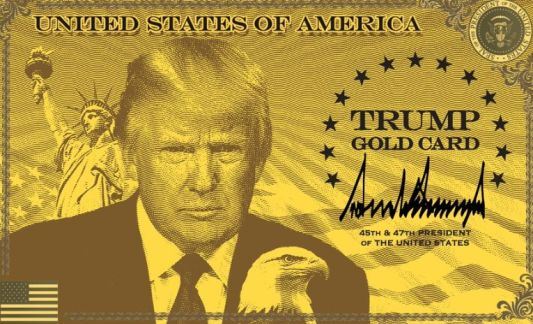 美国百万“黄金卡”签证计划正式启动