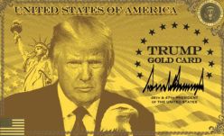 美国百万“黄金卡”签证计划正式启动