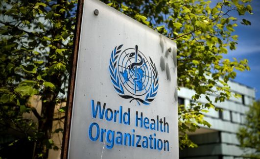 白宫证实美国正式退出世界卫生组织