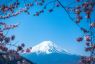 日本收紧外国人居留条件，申请费上调二十倍